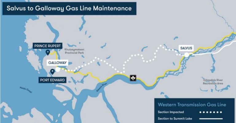 partners in progress news