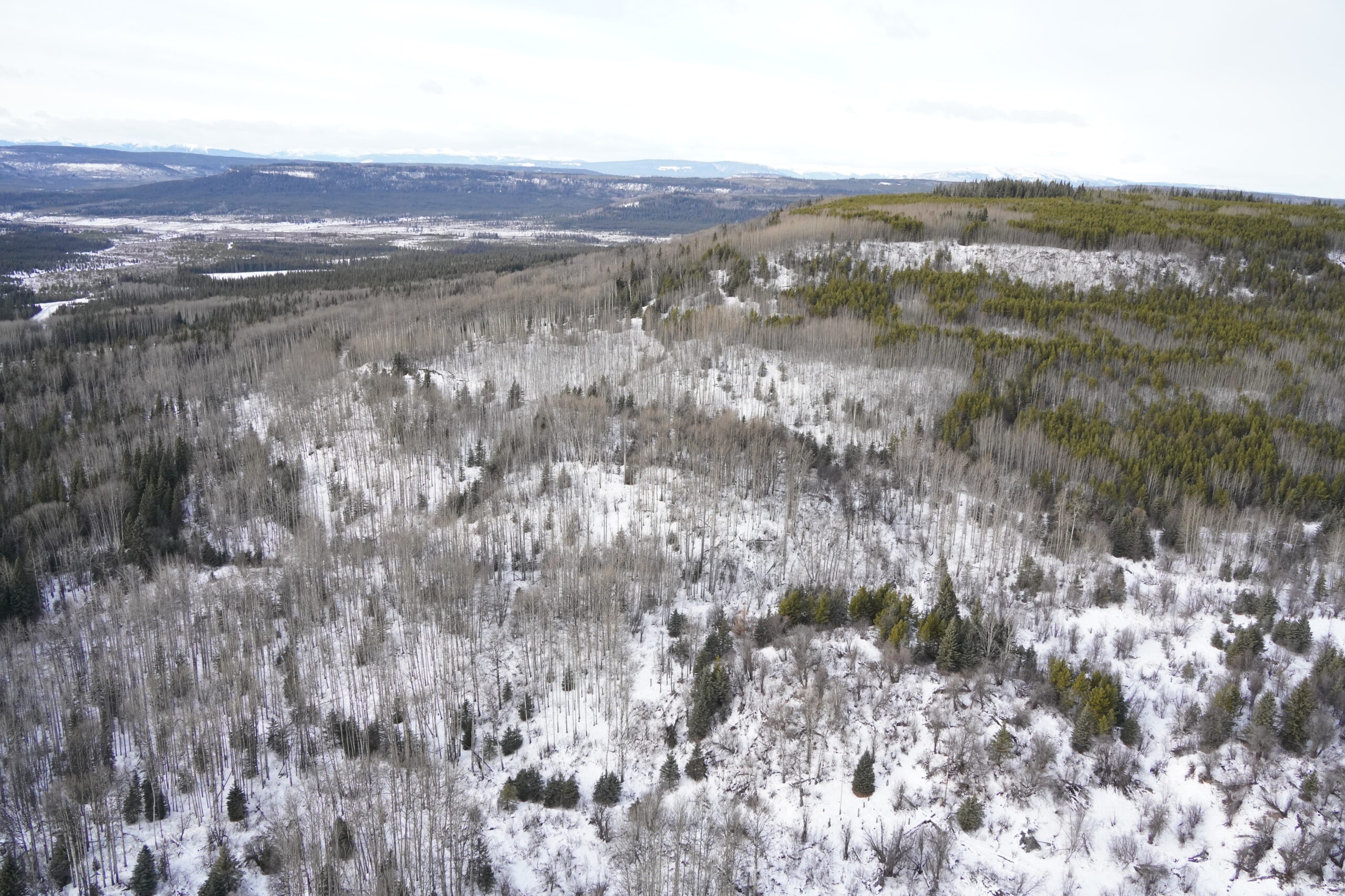 Petronas Luna Pipeline Image 4