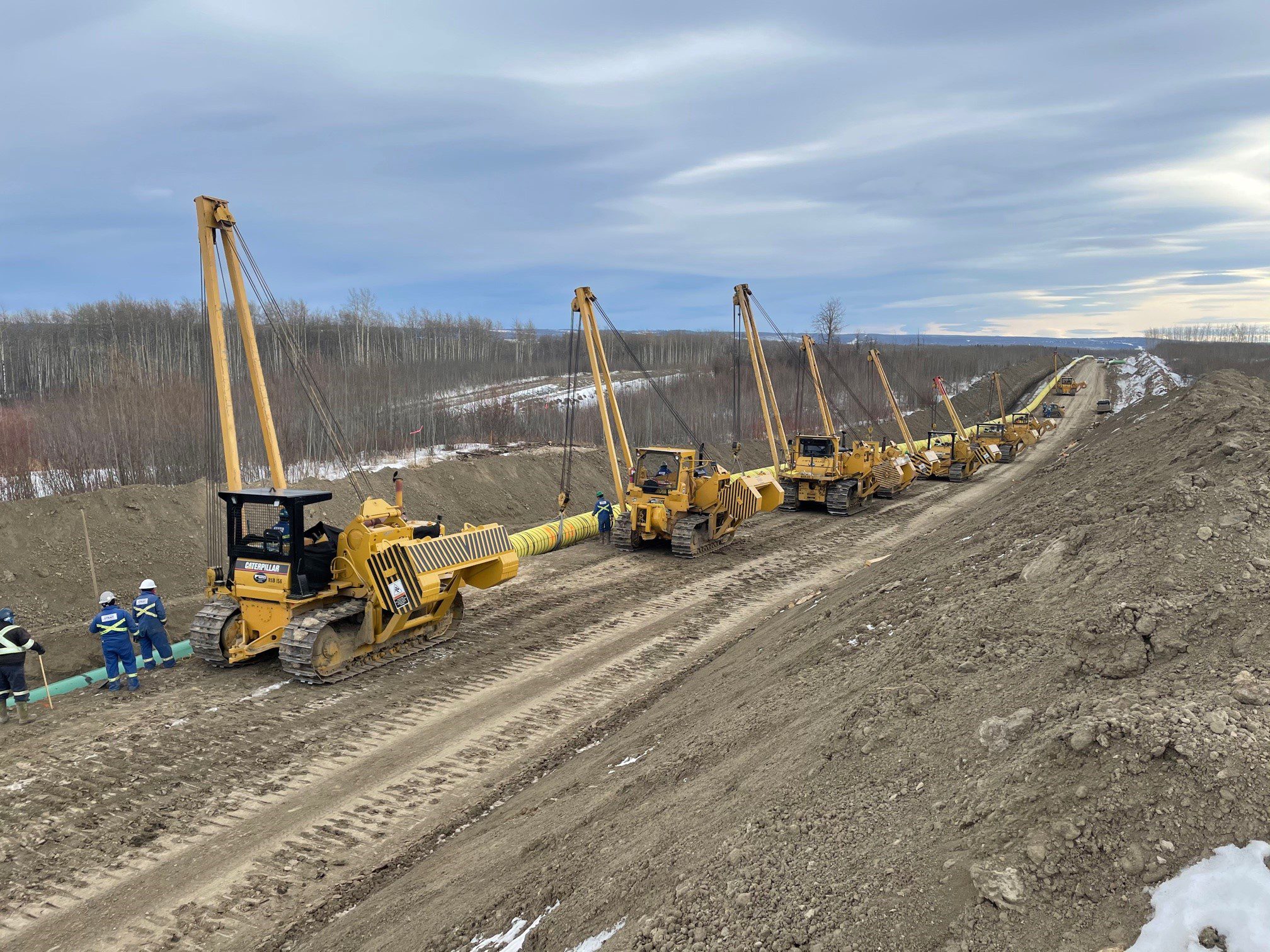 Petronas Project Stella Image 3