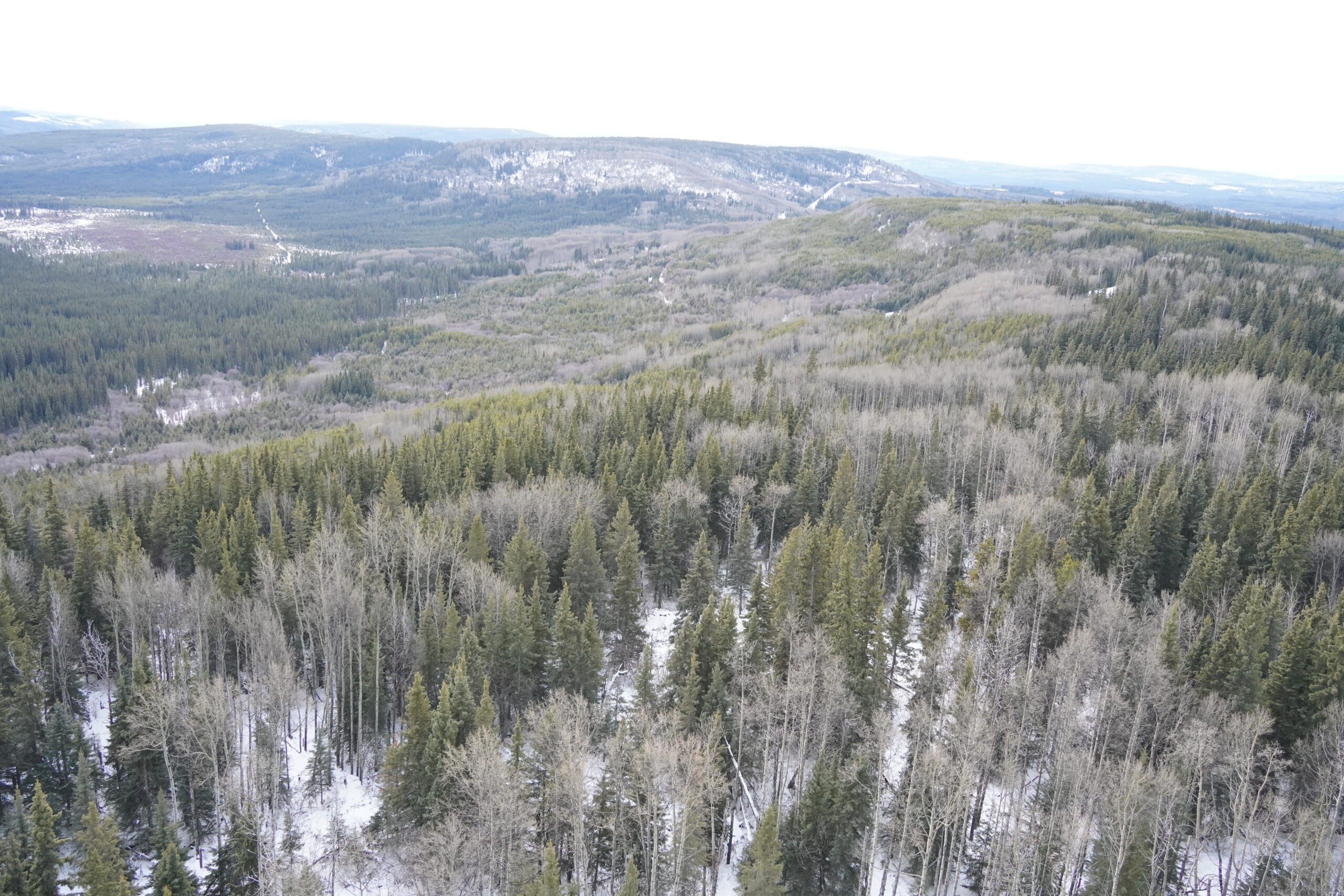 Petronas Luna Pipeline Image 2