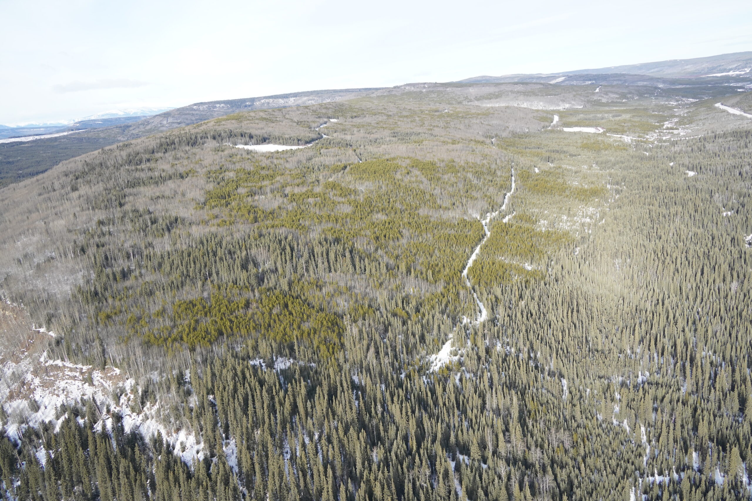 Petronas Luna Pipeline Image 3