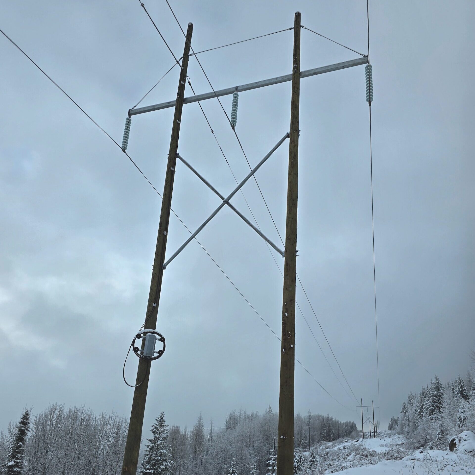 Service - Electrical Utility 20241121 103729